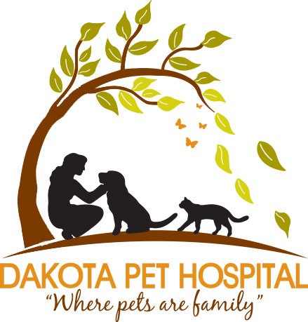 Home | Veterinarian in Lakeville | Dakota Pet Hosiptal Dakota Pet Hospital  - Veterinarian in Lakeville, Minnesota US