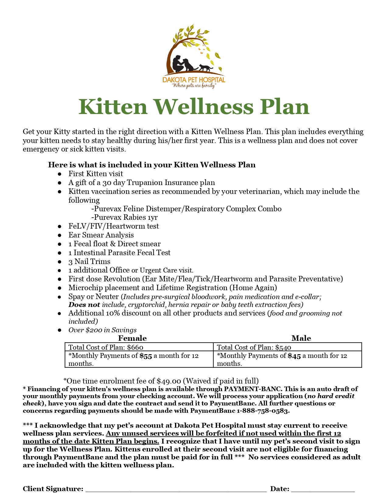 Kitten Wellness Plan